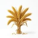 The Power of Millets